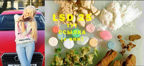 ПСИЛОЦИБИНОВЫЕ ГРИБЫ Балахна